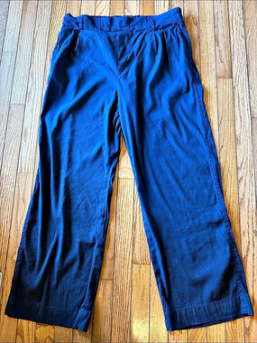 Vince Pleat Front Pull-On Linen-Blend Pant Wide Leg Blue XL